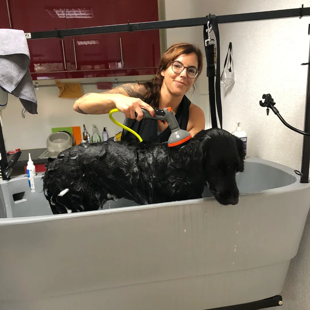 Caro's Hundesalon, Wangen bei Oten