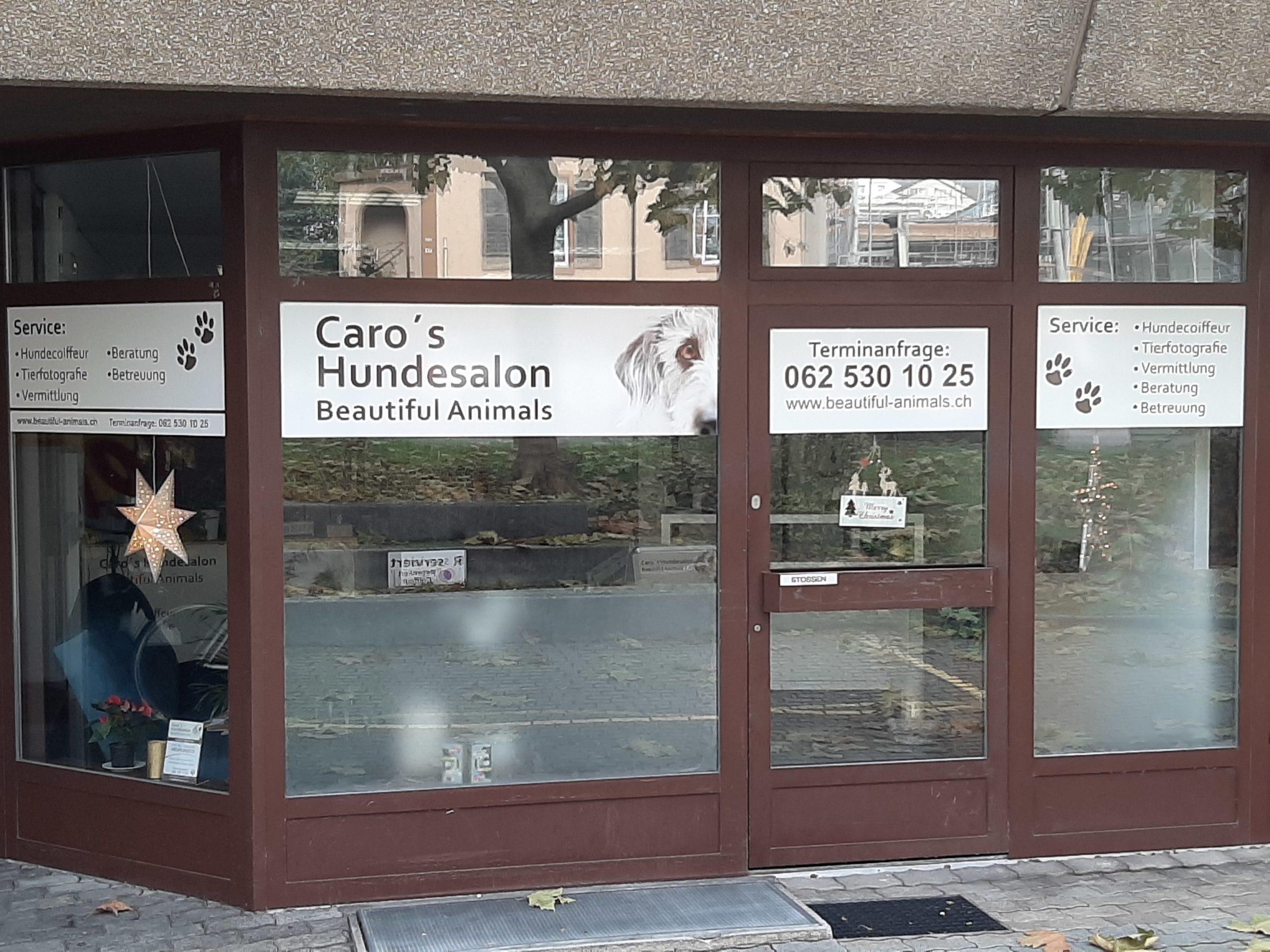 Schöne Weihnachten von Caro’s Hundesalon